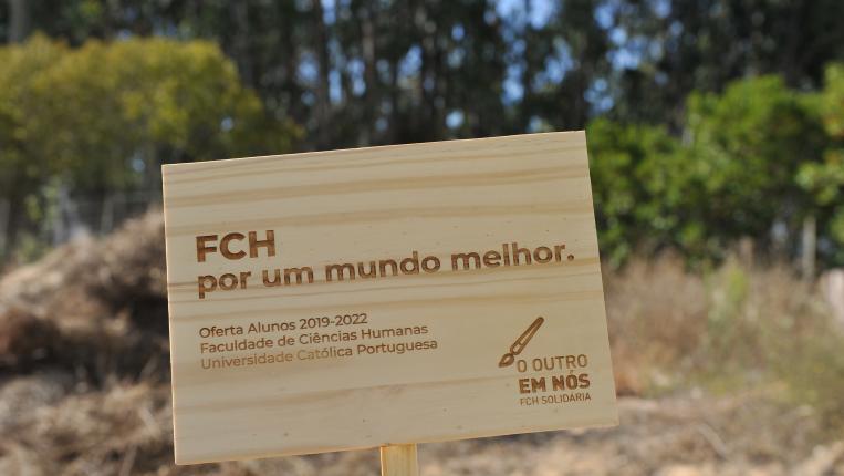 gallery_fch solidária 2019