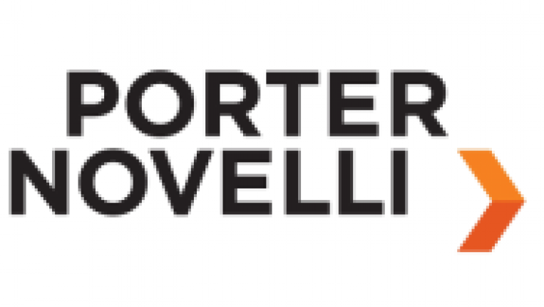 Porter Novelli_logo