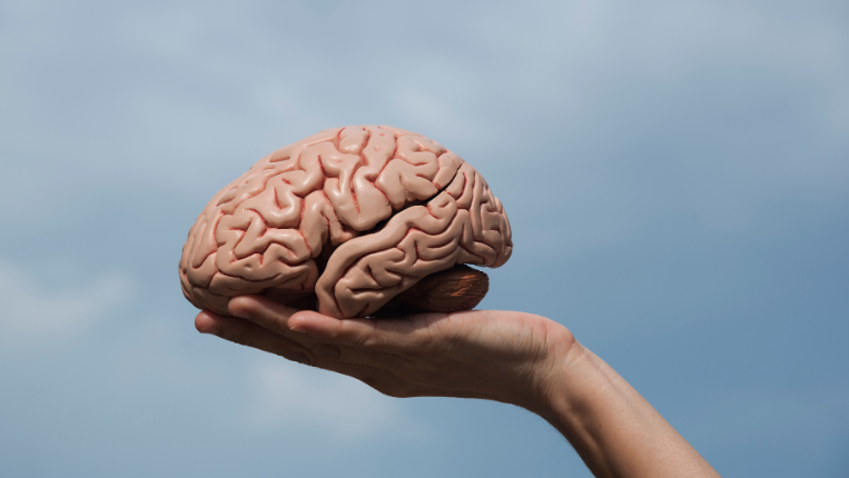 Programa Avançado em Inteligência Emocional (b-learning)